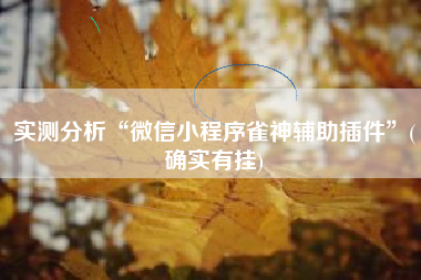 实测分析“微信小程序雀神辅助插件”(确实有挂)