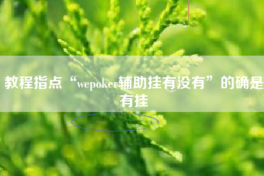 教程指点“wepoker辅助挂有没有”的确是有挂 教程指点“wepoker辅助挂有没有”的确是有挂