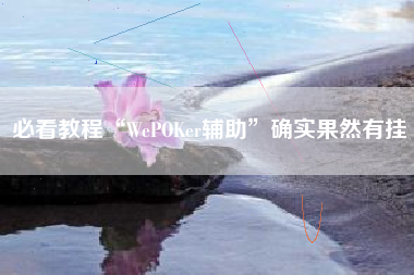 必看教程“WePOKer辅助”确实果然有挂