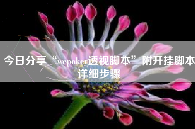 今日分享“wepoker透视脚本”附开挂脚本详细步骤