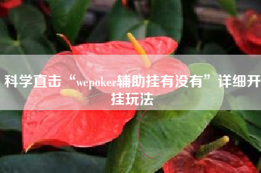 科学直击“wepoker辅助挂有没有”详细开挂玩法 科学直击“wepoker辅助挂有没有”详细开挂玩法