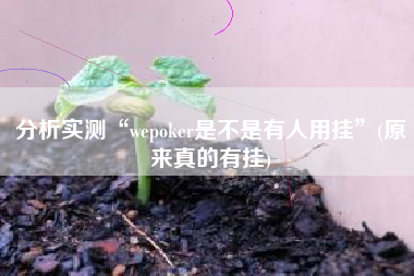 分析实测“wepoker是不是有人用挂”(原来真的有挂) 分析实测“wepoker是不是有人用挂”(原来真的有挂)