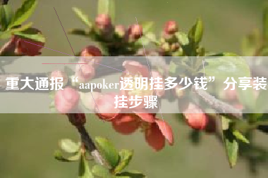 重大通报“aapoker透明挂多少钱”分享装挂步骤