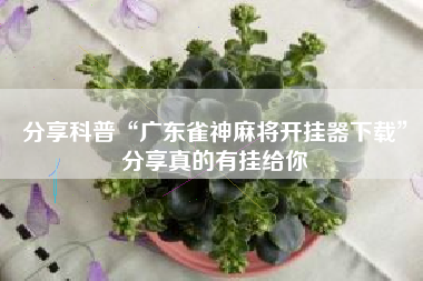 分享科普“广东雀神麻将开挂器下载”分享真的有挂给你