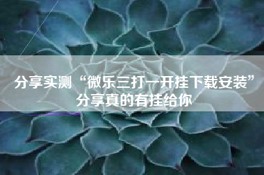 分享实测“微乐三打一开挂下载安装”分享真的有挂给你