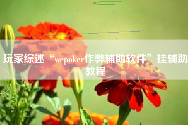 玩家综述“wepoker作弊辅助软件”挂辅助教程