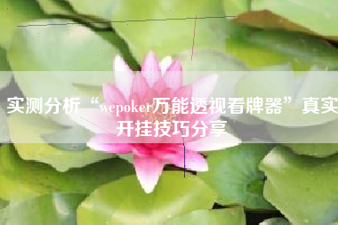 实测分析“wepoker万能透视看牌器”真实开挂技巧分享 实测分析“wepoker万能透视看牌器”真实开挂技巧分享