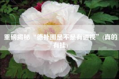 重磅揭秘“德扑圈是不是有透视”(真的有挂) 重磅揭秘“德扑圈是不是有透视”(真的有挂)