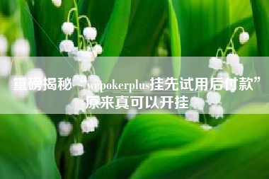 重磅揭秘“wepokerplus挂先试用后付款”原来真可以开挂 重磅揭秘“wepokerplus挂先试用后付款”原来真可以开挂