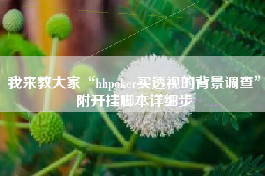 我来教大家“hhpoker买透视的背景调查”附开挂脚本详细步