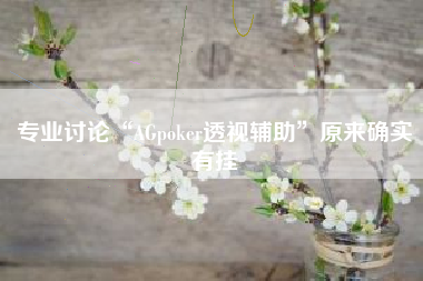 专业讨论“AGpoker透视辅助”原来确实有挂