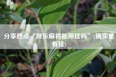 分享热点“微乐麻将能用挂吗”(确实是有挂)
