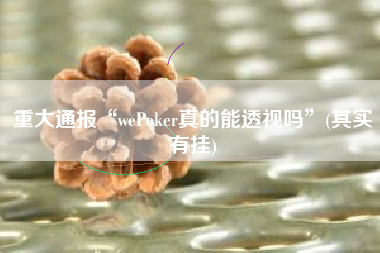 重大通报“wePoker真的能透视吗”(其实有挂) 重大通报“wePoker真的能透视吗”(其实有挂)