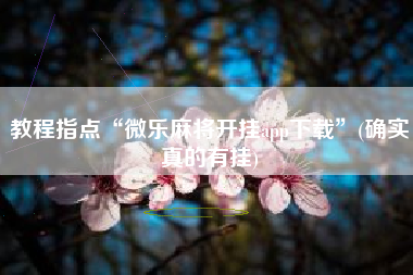 教程指点“微乐麻将开挂app下载”(确实真的有挂) 教程指点“微乐麻将开挂app下载”(确实真的有挂)