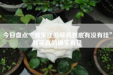 今日盘点“微乐江苏麻将到底有没有挂”其实真的确实有挂 今日盘点“微乐江苏麻将到底有没有挂”其实真的确实有挂