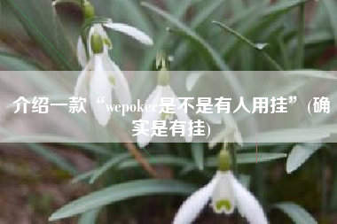 介绍一款“wepoker是不是有人用挂”(确实是有挂) 介绍一款“wepoker是不是有人用挂”(确实是有挂)