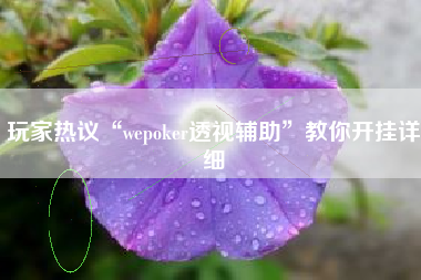玩家热议“wepoker透视辅助”教你开挂详细