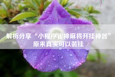 解析分享“小程序雀神麻将开挂神器”原来真实可以装挂