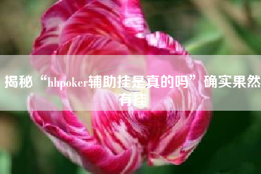 揭秘“hhpoker辅助挂是真的吗”确实果然有挂 揭秘“hhpoker辅助挂是真的吗”确实果然有挂