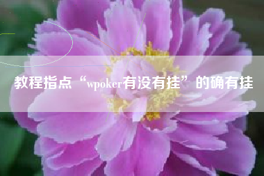 教程指点“wpoker有没有挂”的确有挂 教程指点“wpoker有没有挂”的确有挂