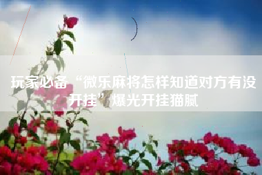 玩家必备“微乐麻将怎样知道对方有没开挂”爆光开挂猫腻