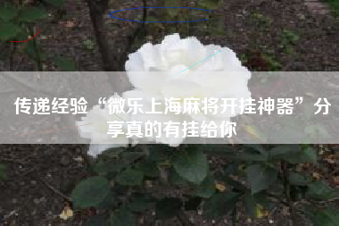 传递经验“微乐上海麻将开挂神器”分享真的有挂给你 传递经验“微乐上海麻将开挂神器”分享真的有挂给你