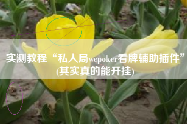 实测教程“私人局wepoker看牌辅助插件”(其实真的能开挂)