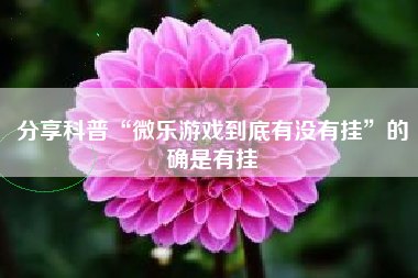 分享科普“微乐游戏到底有没有挂”的确是有挂