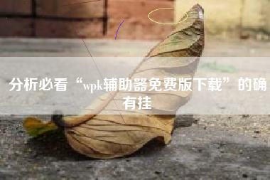 分析必看“wpk辅助器免费版下载”的确有挂
