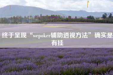 终于呈现“wepoker辅助透视方法”确实是有挂