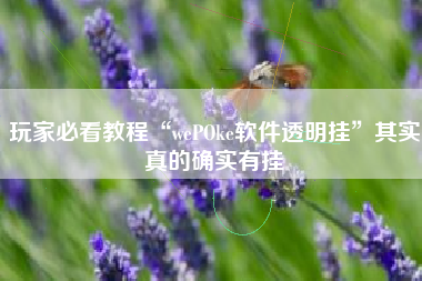 玩家必看教程“wePOke软件透明挂”其实真的确实有挂