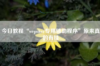 今日教程“wepoker专用辅助程序”原来真的有挂 今日教程“wepoker专用辅助程序”原来真的有挂