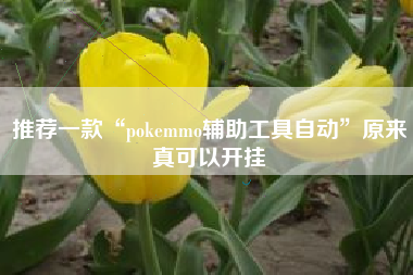 推荐一款“pokemmo辅助工具自动”原来真可以开挂 推荐一款“pokemmo辅助工具自动”原来真可以开挂