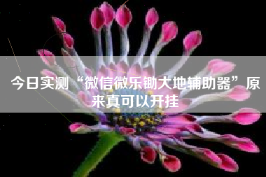 今日实测“微信微乐锄大地辅助器”原来真可以开挂 今日实测“微信微乐锄大地辅助器”原来真可以开挂