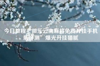 今日教程“微乐云南麻将免费开挂手机版评测”爆光开挂猫腻