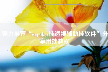 强力推荐“wepoker挂透视辅助挂软件”分享用挂教程