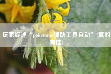 玩家综述“pokemmo辅助工具自动”(真的有挂) 玩家综述“pokemmo辅助工具自动”(真的有挂)