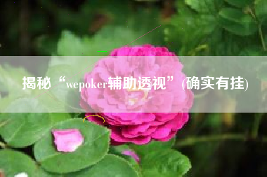 揭秘“wepoker辅助透视”(确实有挂)