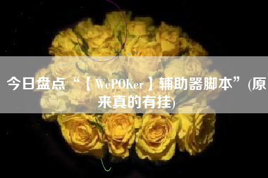 今日盘点“【WePOKer】辅助器脚本”(原来真的有挂) 今日盘点“【WePOKer】辅助器脚本”(原来真的有挂)