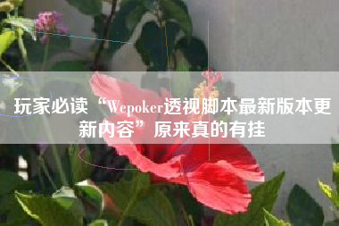 玩家必读“Wepoker透视脚本最新版本更新内容”原来真的有挂
