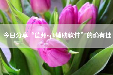今日分享“德州wpk辅助软件”的确有挂 今日分享“德州wpk辅助软件”的确有挂