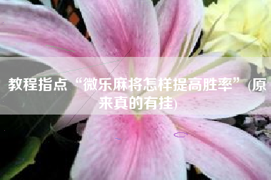 教程指点“微乐麻将怎样提高胜率”(原来真的有挂) 教程指点“微乐麻将怎样提高胜率”(原来真的有挂)