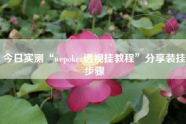 今日实测“wepoker透视挂教程”分享装挂步骤 今日实测“wepoker透视挂教程”分享装挂步骤