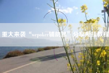 重大来袭“wepoker辅助器”分享用挂教程