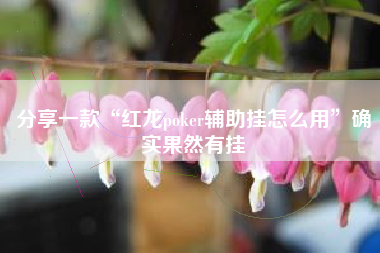 分享一款“红龙poker辅助挂怎么用”确实果然有挂