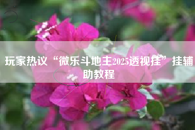 玩家热议“微乐斗地主2025透视挂”挂辅助教程