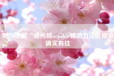 带你了解“德州局wepoker辅助方法”原来确实有挂 带你了解“德州局wepoker辅助方法”原来确实有挂