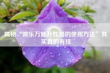 揭秘“微乐万能开挂器的使用方法”其实真的有挂