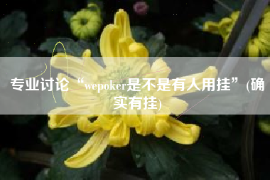 专业讨论“wepoker是不是有人用挂”(确实有挂) 专业讨论“wepoker是不是有人用挂”(确实有挂)