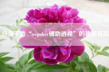 分享干货“wepoker辅助透视”的确是有挂